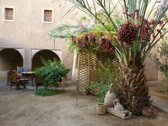 Kasbah Timidarte Hotel Zaouita Bou Lhassane Kültér fotó