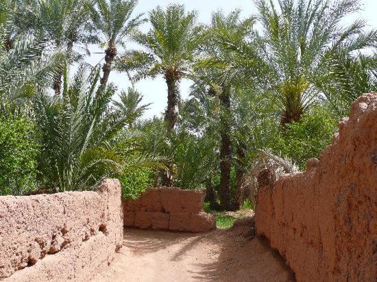 Kasbah Timidarte Hotel Zaouita Bou Lhassane Kültér fotó